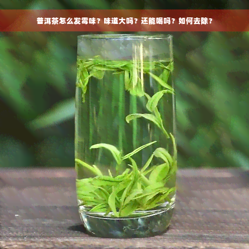 普洱茶怎么发霉味？味道大吗？还能喝吗？如何去除？