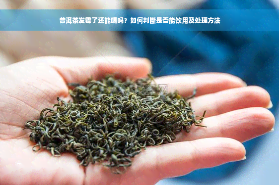 普洱茶发霉了还能喝吗？如何判断是否能饮用及处理方法