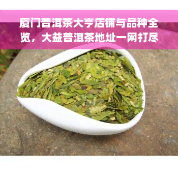 厦门普洱茶大亨店铺与品种全览，大益普洱茶地址一网打尽