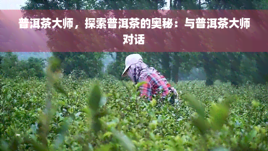 普洱茶大师，探索普洱茶的奥秘：与普洱茶大师对话