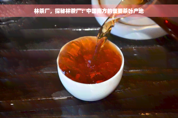 林茶厂，探秘林茶厂：中国南方的重要茶叶产地