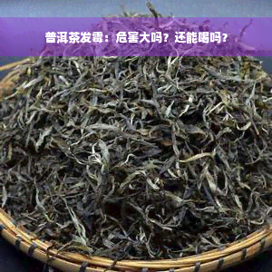 普洱茶发霉：危害大吗？还能喝吗？