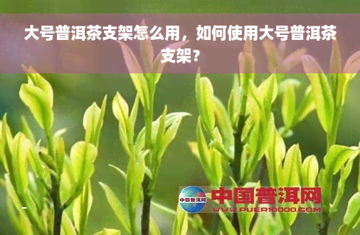 大号普洱茶支架怎么用，如何使用大号普洱茶支架？