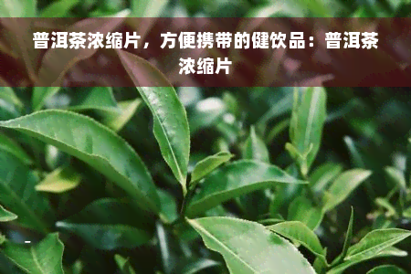 普洱茶浓缩片，方便携带的健饮品：普洱茶浓缩片