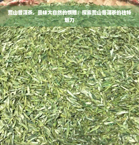 荒山普洱茶，品味大自然的馈赠：探索荒山普洱茶的独特魅力