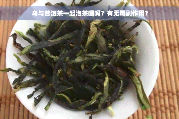 乌与普洱茶一起泡茶喝吗？有无毒副作用？