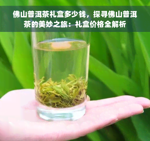 佛山普洱茶礼盒多少钱，探寻佛山普洱茶的美妙之旅：礼盒价格全解析