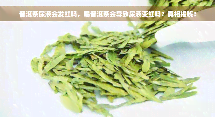 普洱茶尿液会发红吗，喝普洱茶会导致尿液变红吗？真相揭晓！