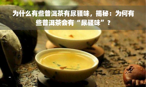 为什么有些普洱茶有尿骚味，揭秘：为何有些普洱茶会有“尿骚味”？