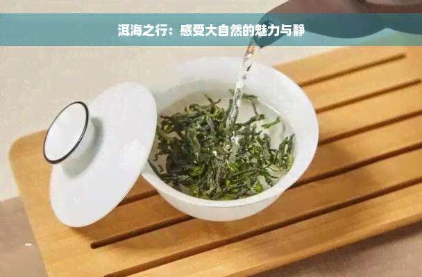 洱海之行：感受大自然的魅力与静