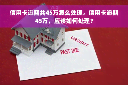 信用卡逾期共45万怎么处理，信用卡逾期45万，应该如何处理？