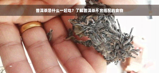 普洱茶忌什么一起吃？了解普洱茶不宜搭配的食物