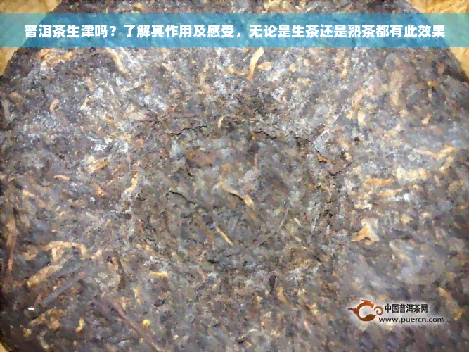 普洱茶生津吗？了解其作用及感受，无论是生茶还是熟茶都有此效果