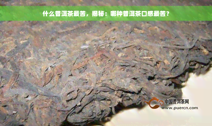 什么普洱茶最苦，揭秘：哪种普洱茶口感最苦？