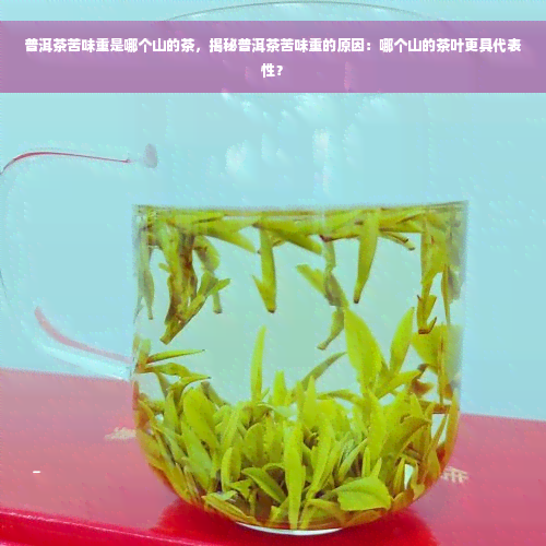 普洱茶苦味重是哪个山的茶，揭秘普洱茶苦味重的原因：哪个山的茶叶更具代表性？