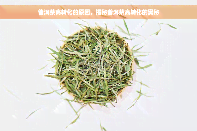 普洱茶高转化的原因，揭秘普洱茶高转化的奥秘