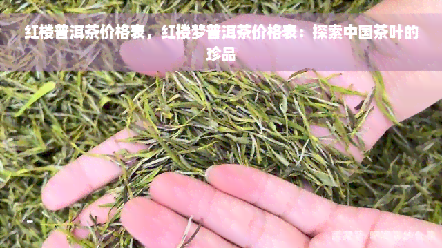 红楼普洱茶价格表，红楼梦普洱茶价格表：探索中国茶叶的珍品