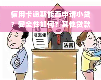 信用卡逾期能否申请小贷？安全性如何？其他贷款选择有哪些？