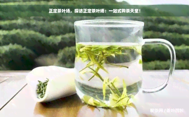 正定茶叶场，探访正定茶叶场：一站式购茶天堂！