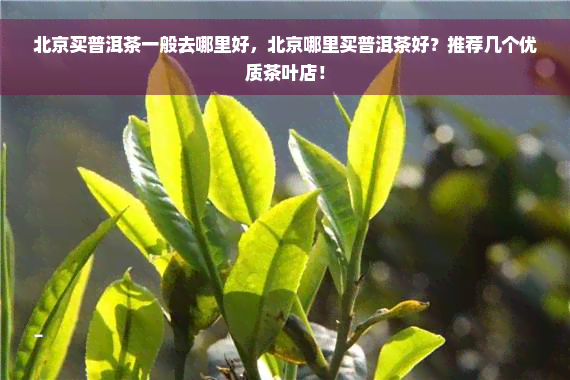 北京买普洱茶一般去哪里好，北京哪里买普洱茶好？推荐几个优质茶叶店！