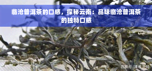 临沧普洱茶的口感，探秘云南：品味临沧普洱茶的独特口感