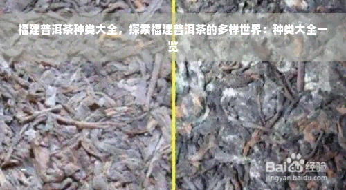 福建普洱茶种类大全，探索福建普洱茶的多样世界：种类大全一览