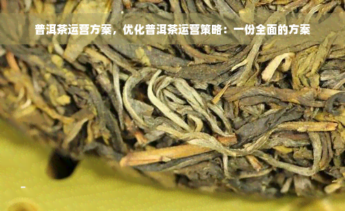 普洱茶运营方案，优化普洱茶运营策略：一份全面的方案