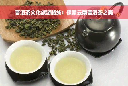 普洱茶文化旅游路线：探索云南普洱茶之美