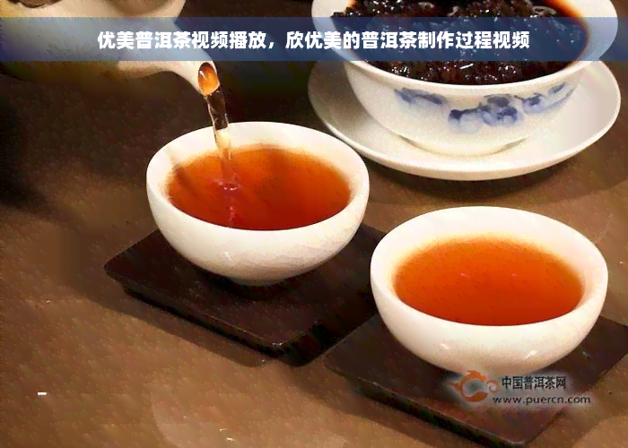 优美普洱茶视频播放，欣优美的普洱茶制作过程视频