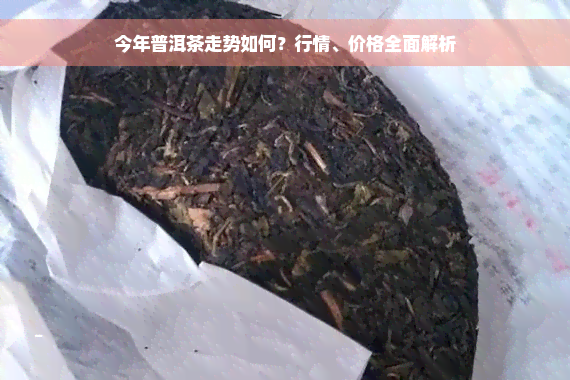 今年普洱茶走势如何？行情、价格全面解析