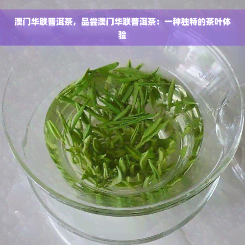 澳门华联普洱茶，品尝澳门华联普洱茶：一种独特的茶叶体验