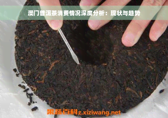 澳门普洱茶消费情况深度分析：现状与趋势