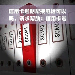 信用卡逾期帮接电话可以吗，请求帮助：信用卡逾期，能否代接催款电话？