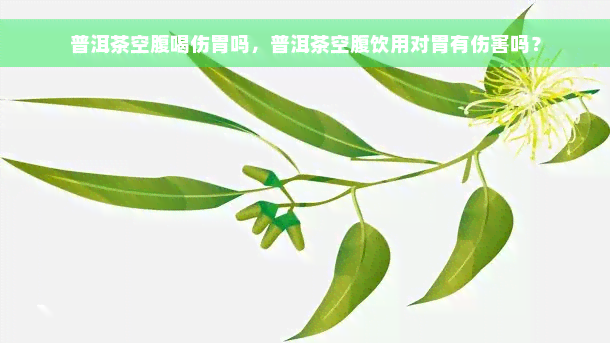 普洱茶空腹喝伤胃吗，普洱茶空腹饮用对胃有伤害吗？