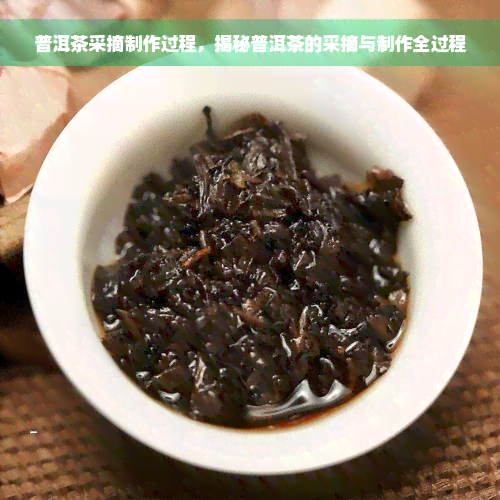 普洱茶采摘制作过程，揭秘普洱茶的采摘与制作全过程