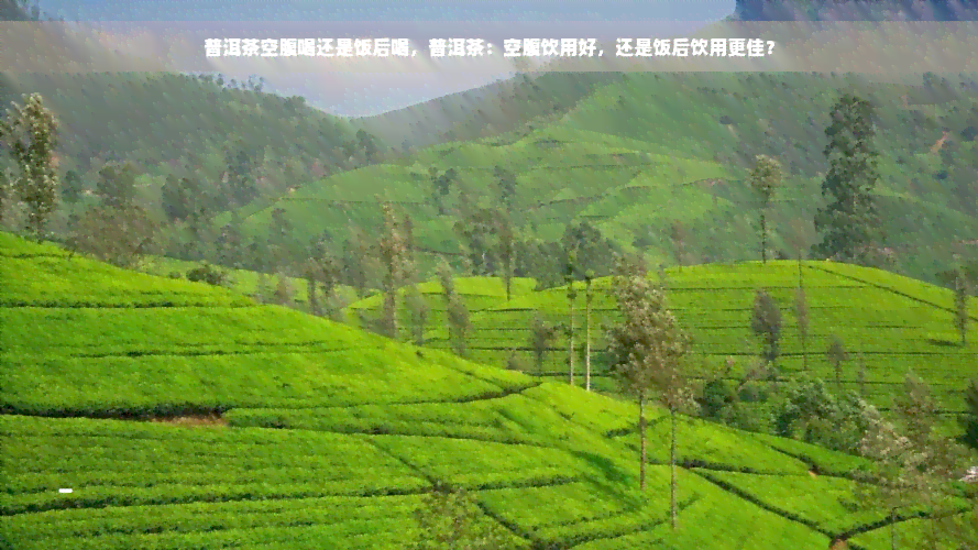 普洱茶空腹喝还是饭后喝，普洱茶：空腹饮用好，还是饭后饮用更佳？