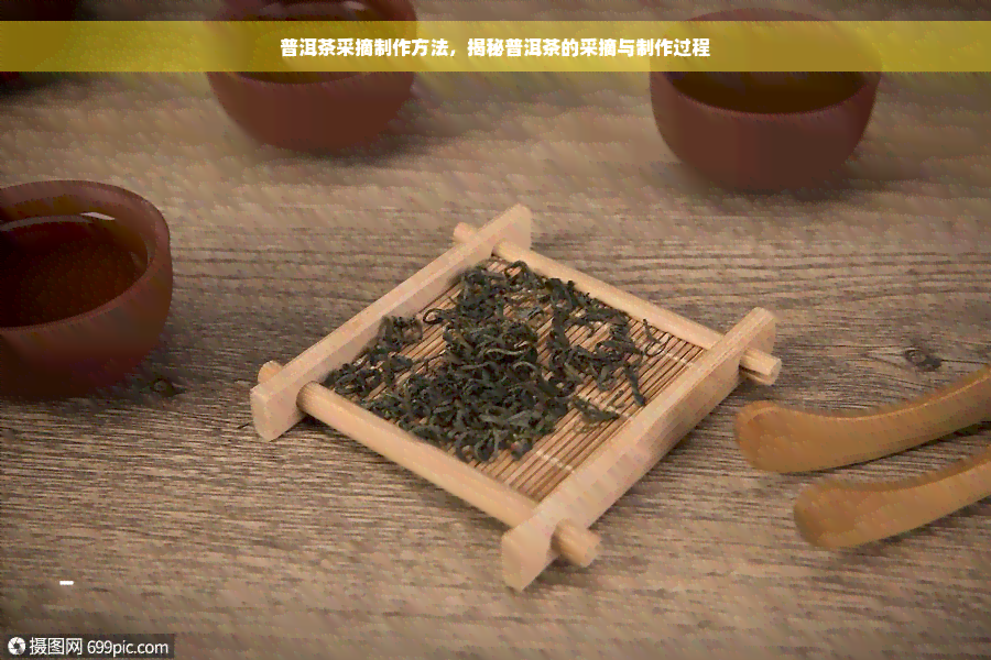 普洱茶采摘制作方法，揭秘普洱茶的采摘与制作过程