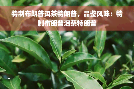 特制布朗普洱茶特朗普，品鉴风味：特制布朗普洱茶特朗普