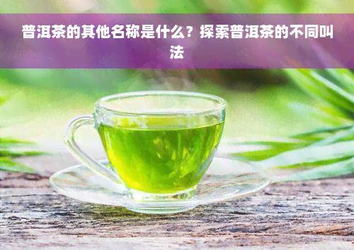 普洱茶的其他名称是什么？探索普洱茶的不同叫法