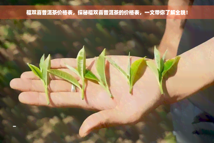 福双喜普洱茶价格表，探秘福双喜普洱茶的价格表，一文带你了解全貌！