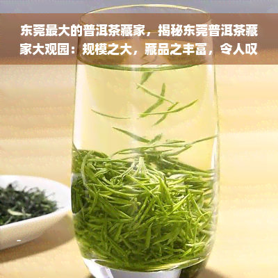 东莞更大的普洱茶藏家，揭秘东莞普洱茶藏家大观园：规模之大，藏品之丰富，令人叹为观止！