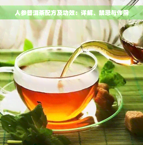 人参普洱茶配方及功效：详解、禁忌与作用