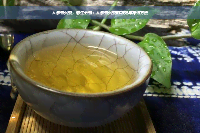 人参普洱茶，养生必备：人参普洱茶的功效与冲泡方法