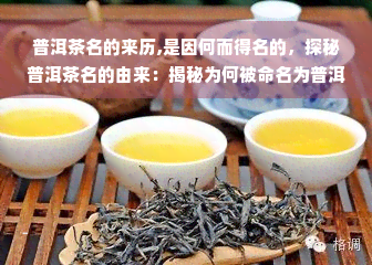 普洱茶名的来历,是因何而得名的，探秘普洱茶名的由来：揭秘为何被命名为普洱