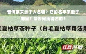 普洱茶来源于人名嘛？它的名字来源于哪里？是因何而得名的？