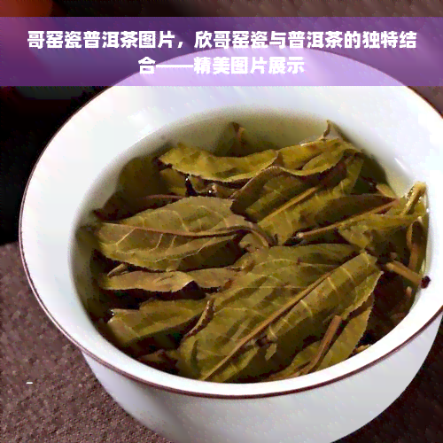 哥窑瓷普洱茶图片，欣哥窑瓷与普洱茶的独特结合——精美图片展示