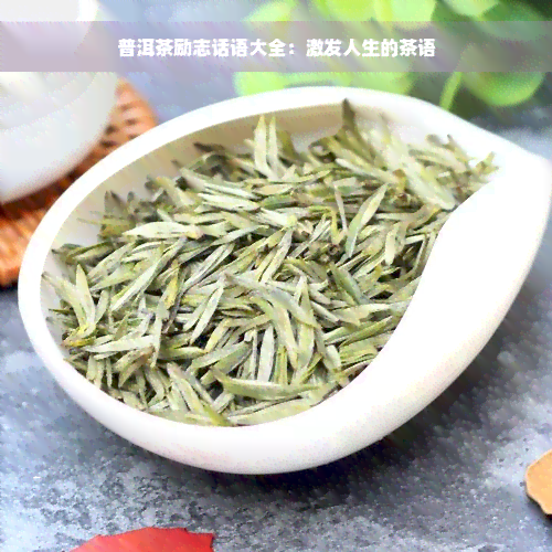 普洱茶励志话语大全：激发人生的茶语