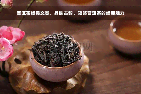 普洱茶经典文案，品味古韵，领略普洱茶的经典魅力