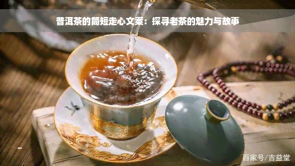 普洱茶的简短走心文案：探寻老茶的魅力与故事