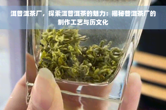 洱普洱茶厂，探索洱普洱茶的魅力：揭秘普洱茶厂的制作工艺与历文化